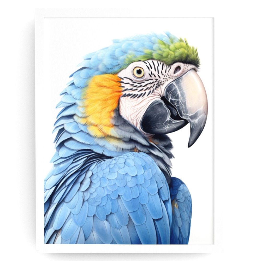 Blue Macaw Parrot Bird Watercolor Wall Art Print Poster Unframed